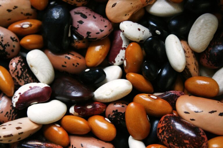 beans, legumes, food-1001032.jpg